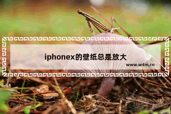 iphonex的壁纸总是放大