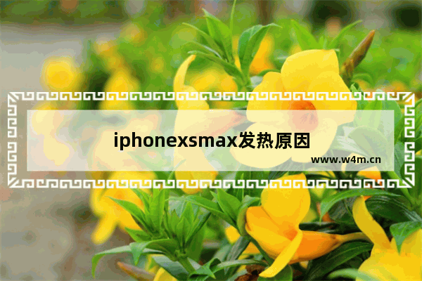 iphonexsmax发热原因