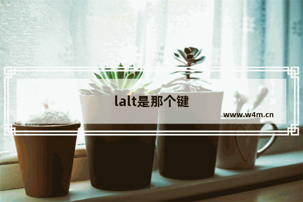 lalt是那个键