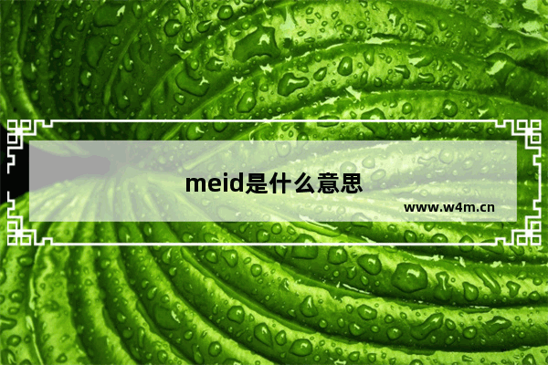 meid是什么意思