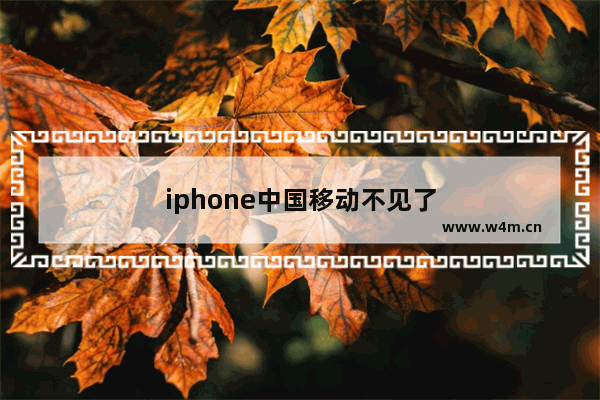 iphone中国移动不见了