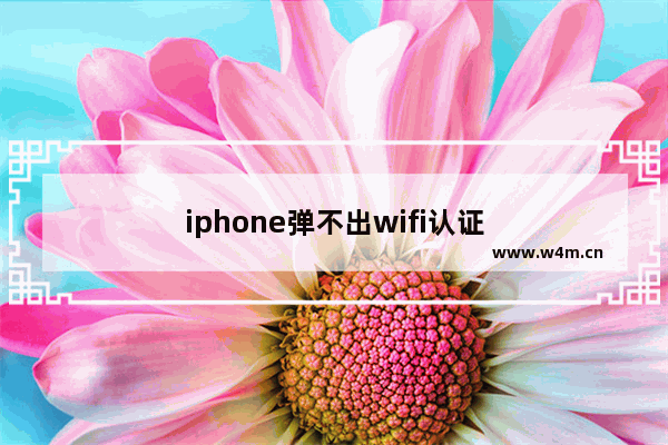 iphone弹不出wifi认证