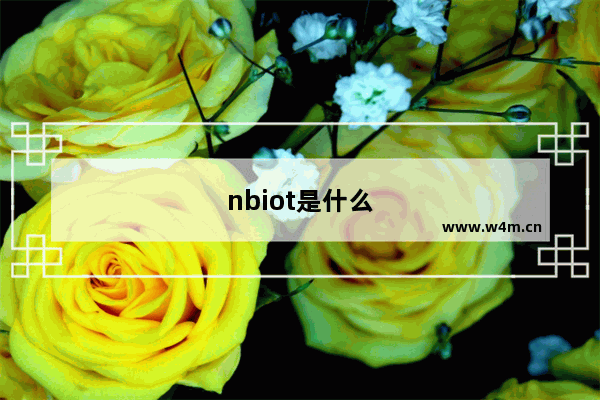 nbiot是什么