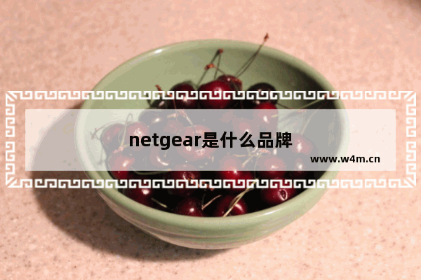 netgear是什么品牌