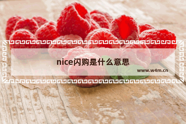 nice闪购是什么意思