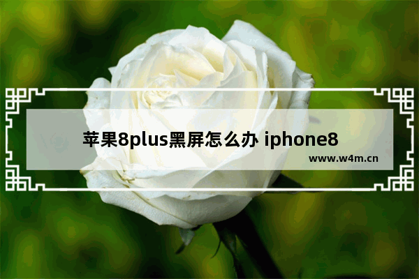 苹果8plus黑屏怎么办 iphone8频繁死机原因