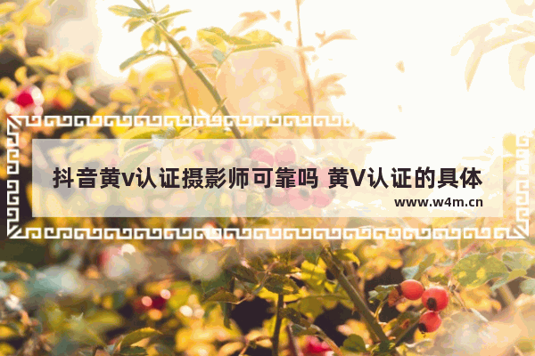 抖音黄v认证摄影师可靠吗 黄V认证的具体流程