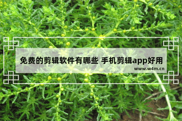 免费的剪辑软件有哪些 手机剪辑app好用推荐