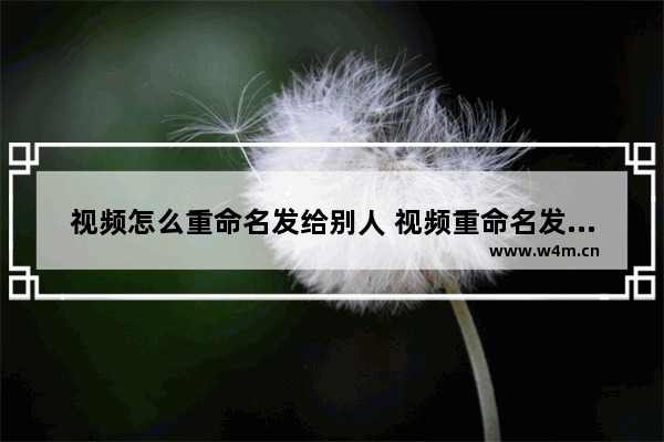 视频怎么重命名发给别人 视频重命名发出去显示名字的办法