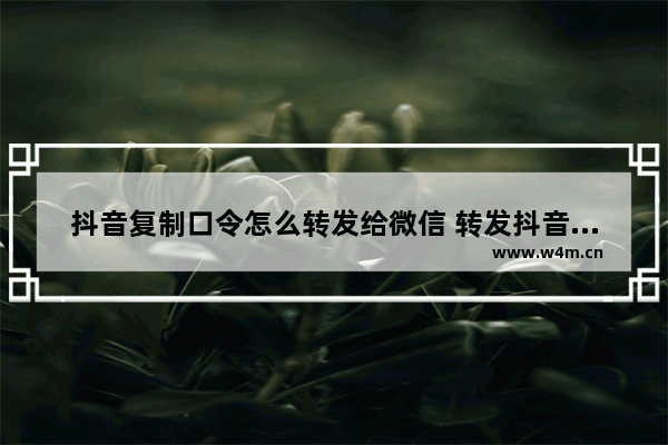 抖音复制口令怎么转发给微信 转发抖音到微信的方式