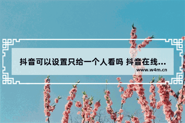 抖音可以设置只给一个人看吗 抖音在线状态设置一人可见