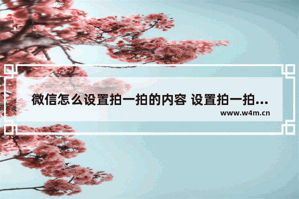 微信怎么设置拍一拍的内容 设置拍一拍别人后面的内容