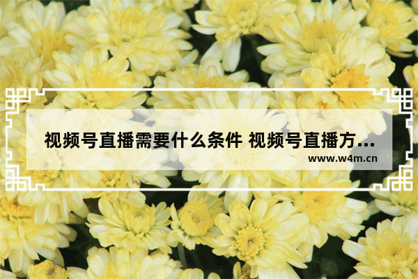 视频号直播需要什么条件 视频号直播方式解析