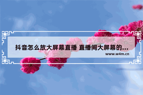 抖音怎么放大屏幕直播 直播间大屏幕的设置