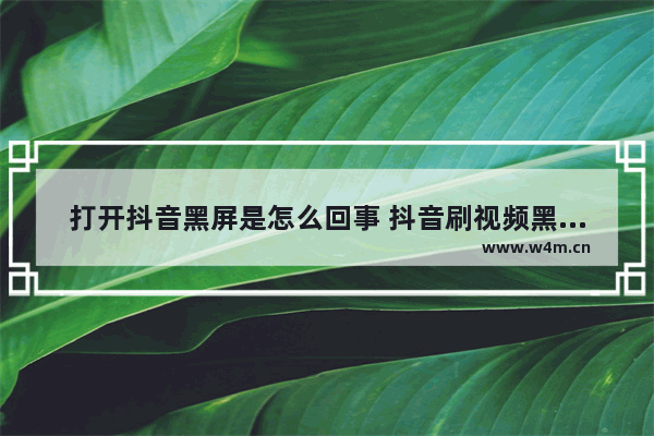 打开抖音黑屏是怎么回事 抖音刷视频黑屏解决办法