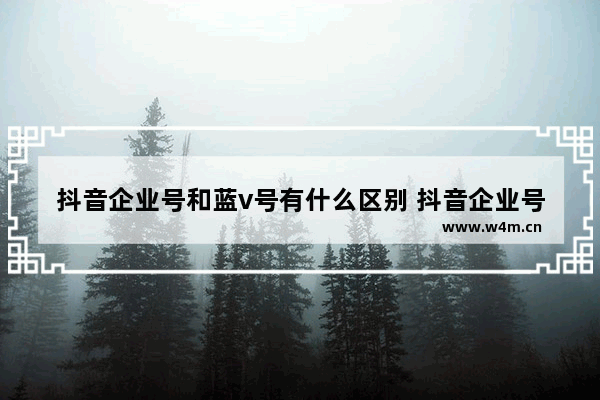 抖音企业号和蓝v号有什么区别 抖音企业号认证流程