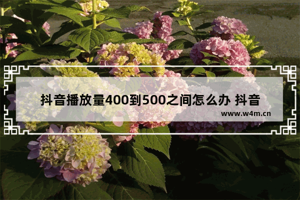 抖音播放量400到500之间怎么办 抖音限流最快恢复方法