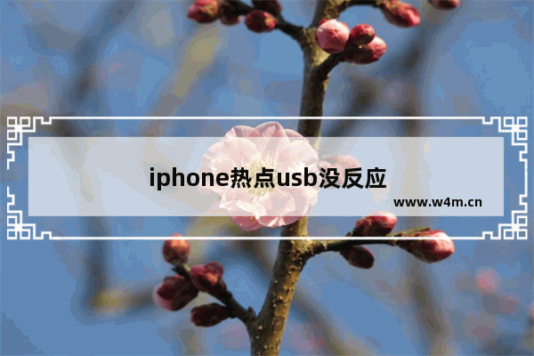 iphone热点usb没反应