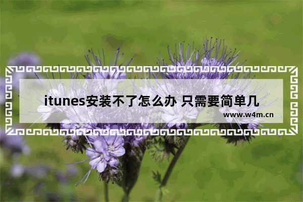 itunes安装不了怎么办 只需要简单几步就可以安装iTunes