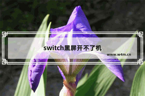 switch黑屏开不了机