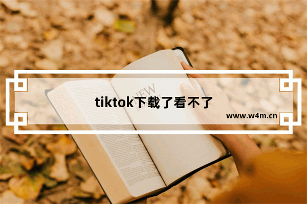 tiktok下载了看不了