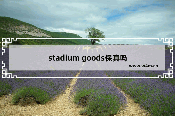 stadium goods保真吗