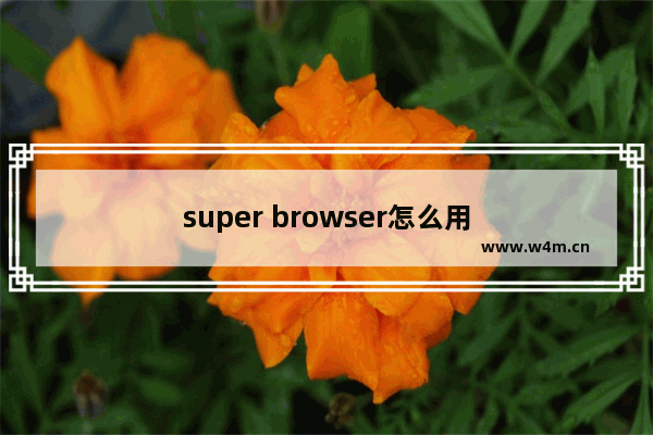 super browser怎么用