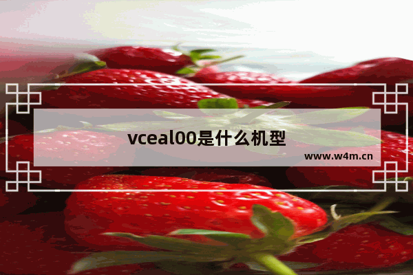 vceal00是什么机型