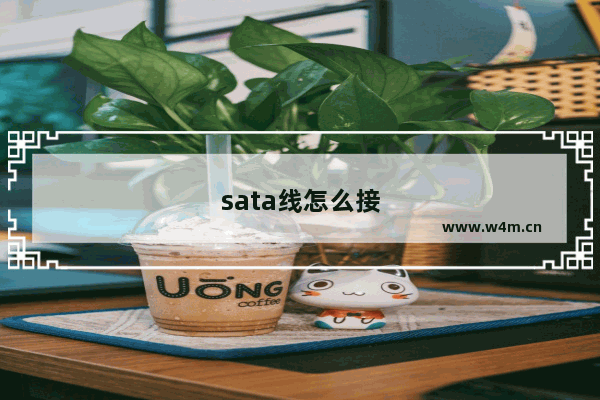 sata线怎么接