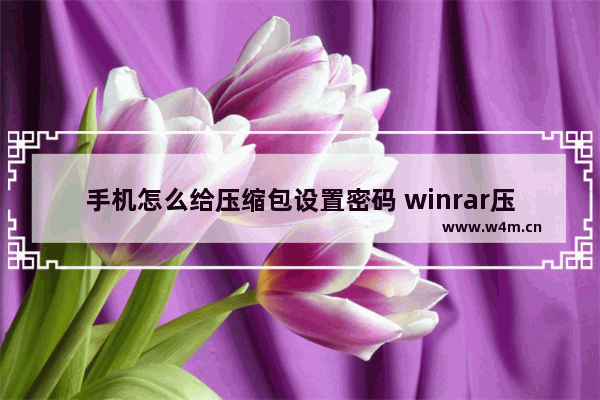 手机怎么给压缩包设置密码 winrar压缩文件加密方法教程