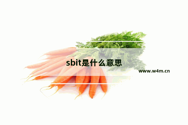 sbit是什么意思