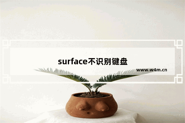 surface不识别键盘