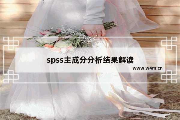 spss主成分分析结果解读