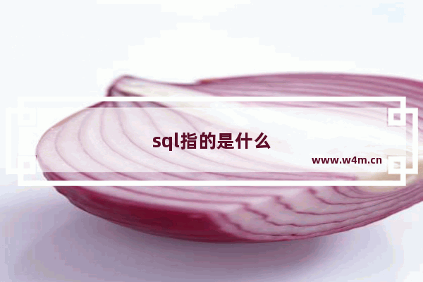 sql指的是什么