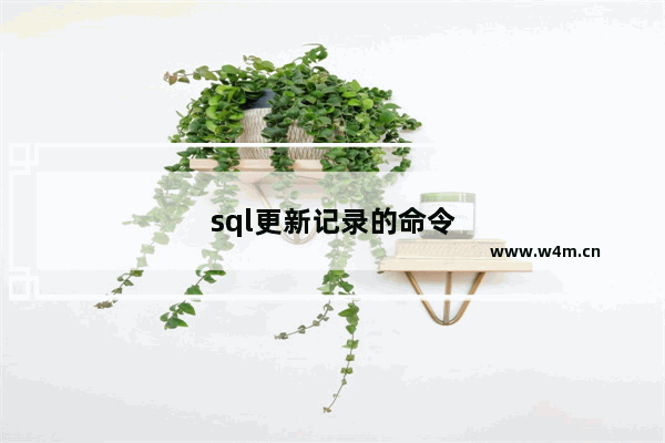 sql更新记录的命令