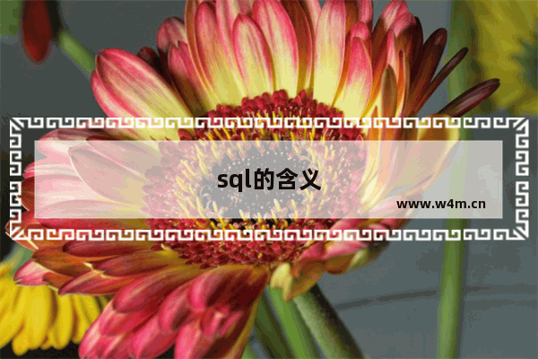 sql的含义