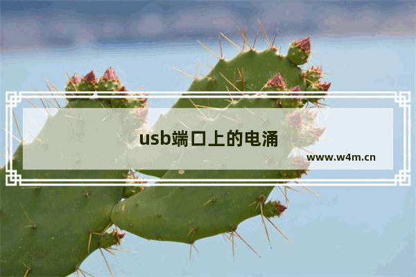 usb端口上的电涌