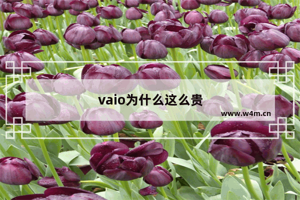 vaio为什么这么贵