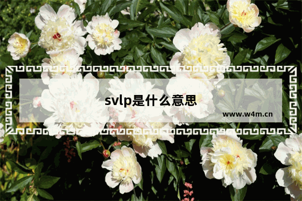 svlp是什么意思