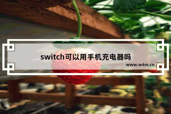 switch可以用手机充电器吗