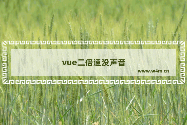 vue二倍速没声音