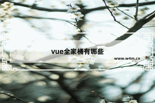 vue全家桶有哪些