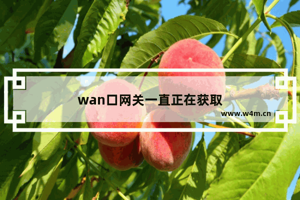 wan口网关一直正在获取