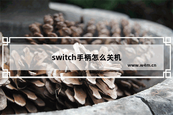 switch手柄怎么关机