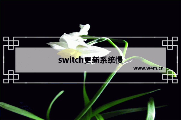 switch更新系统慢