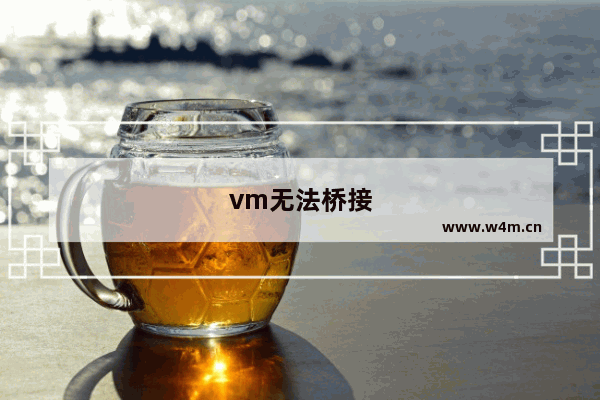 vm无法桥接