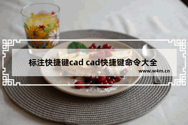 标注快捷键cad cad快捷键命令大全 一览表