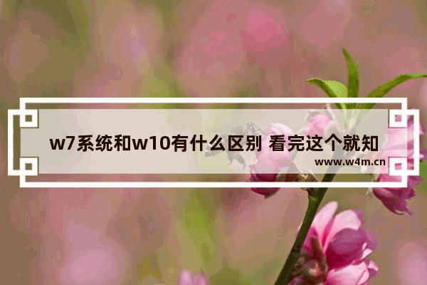 w7系统和w10有什么区别 看完这个就知道了