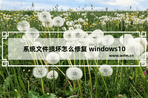 系统文件损坏怎么修复 windows10电脑损坏文件恢复方法