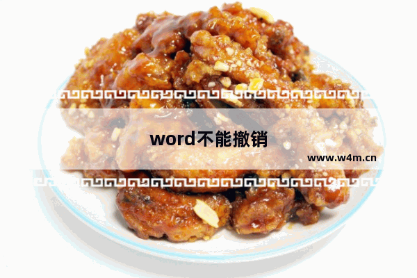 word不能撤销